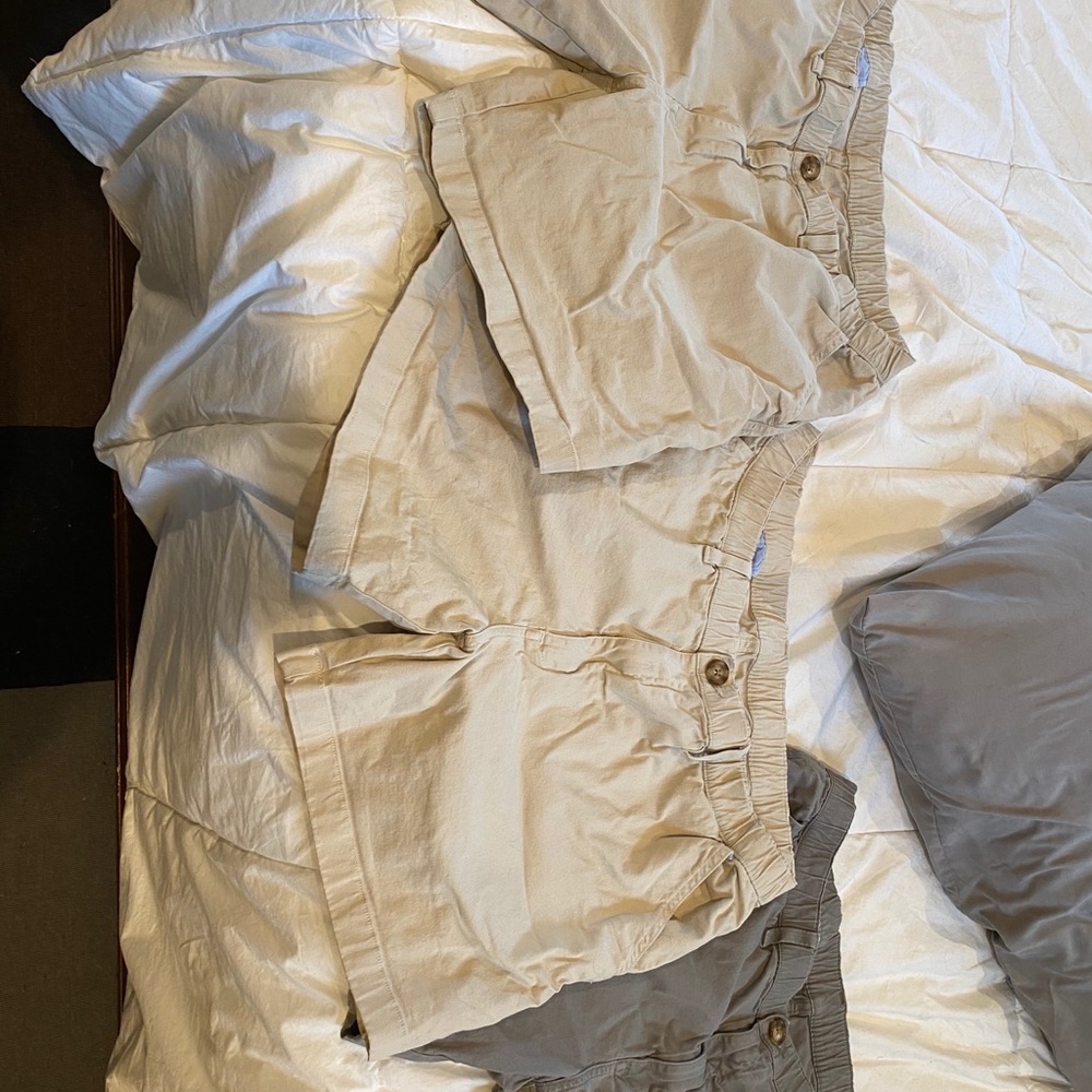 Chubbies shorts